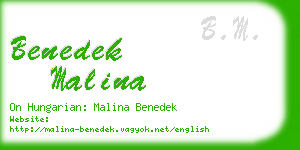 benedek malina business card